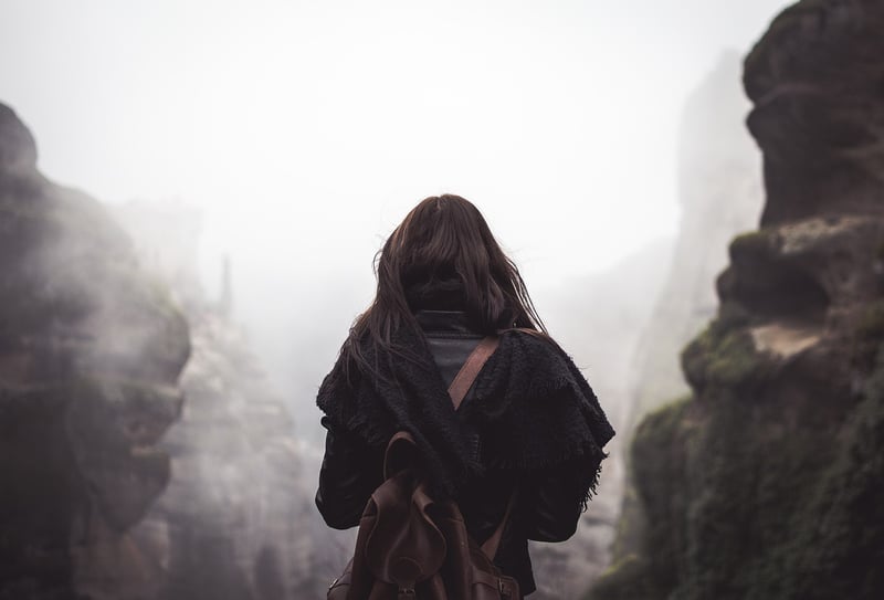 Traveler